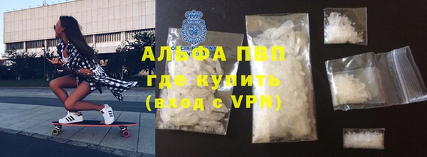 прущие грибы Дмитриев