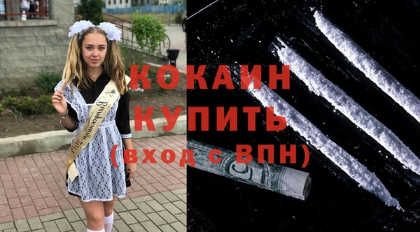 прущие грибы Дмитриев