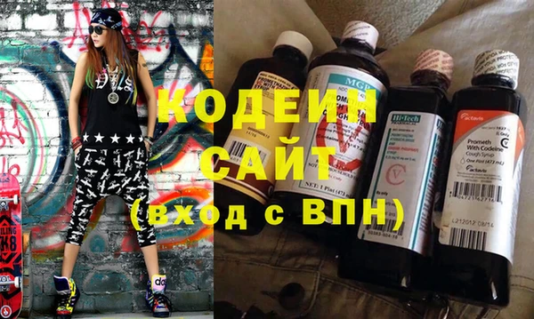 прущие грибы Дмитриев
