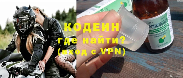 прущие грибы Дмитриев