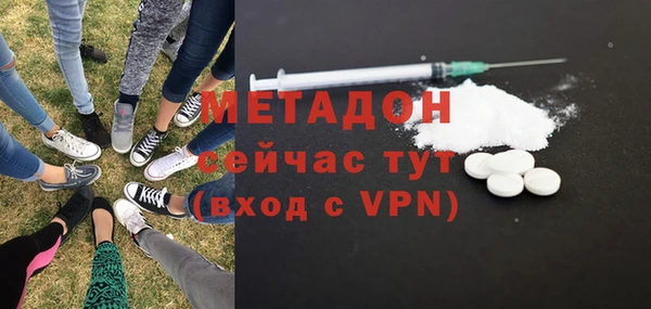 прущие грибы Дмитриев