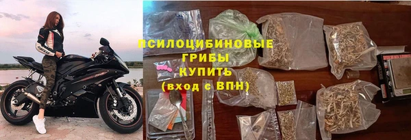 прущие грибы Дмитриев