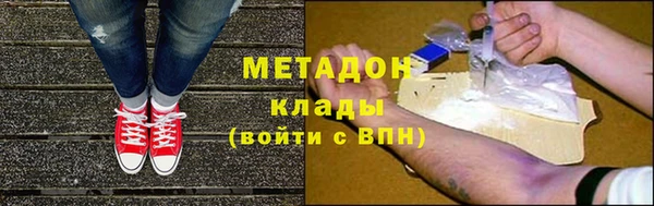 прущие грибы Дмитриев