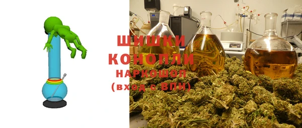 прущие грибы Дмитриев