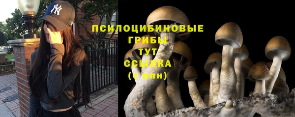 меф Дмитровск