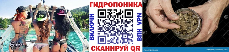 где купить наркоту  Калач-на-Дону  Бошки марихуана Ganja 